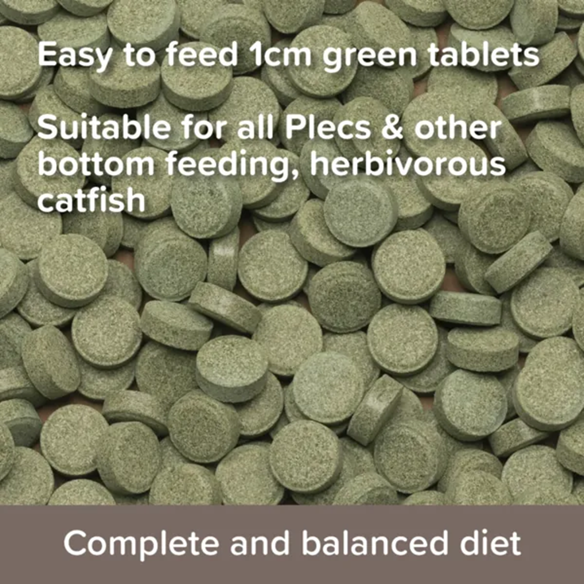 King British - Plecostomus Tablets