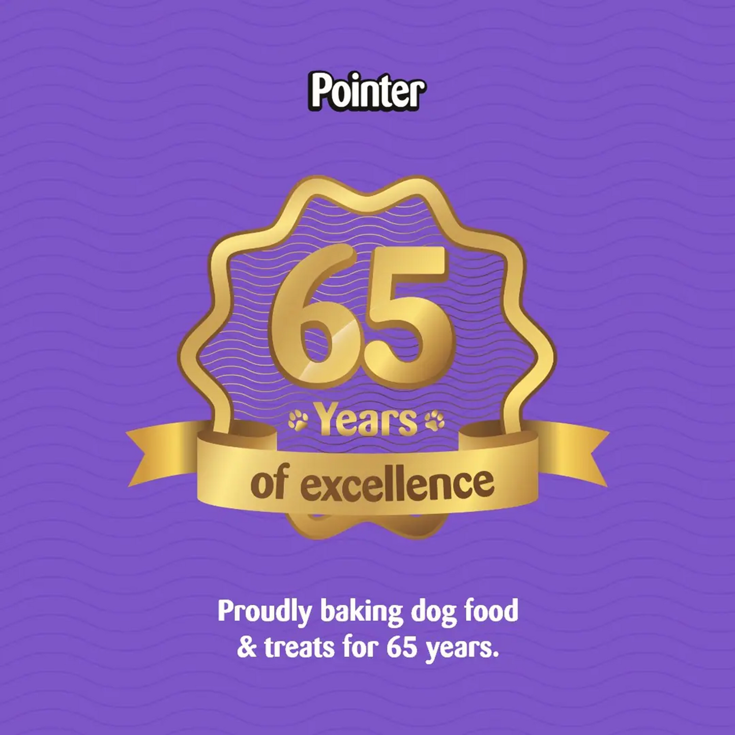 Pointer - Grain Free Stars with Cheese (400g)
