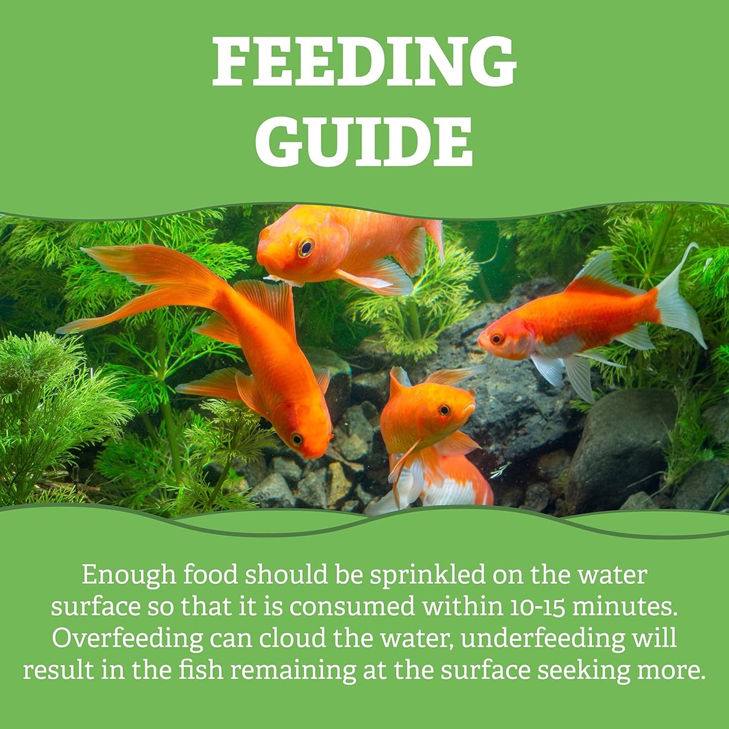 Pets Choice - Pond Sticks (5kg)