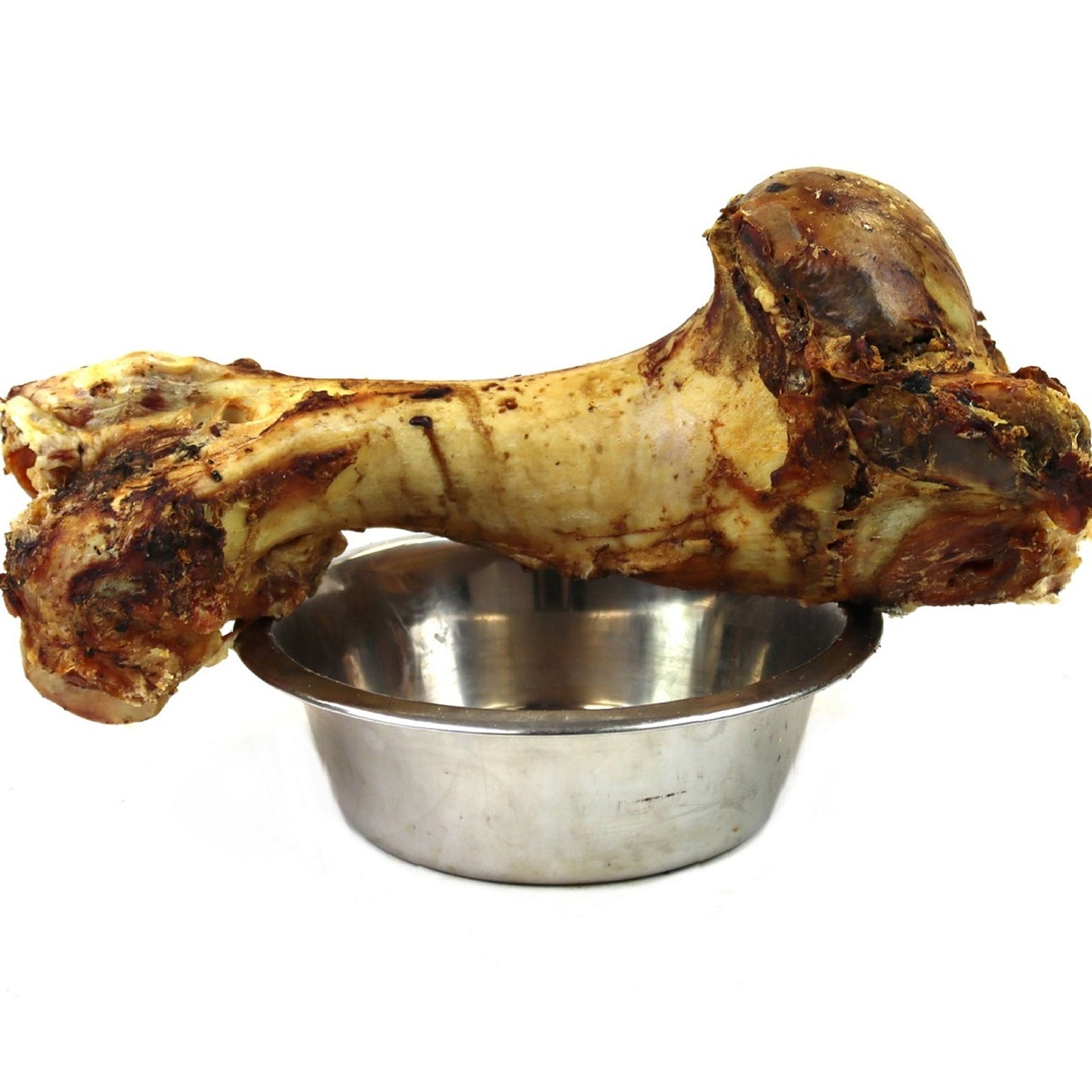 T.Forrest - Jurassic Whole Bone