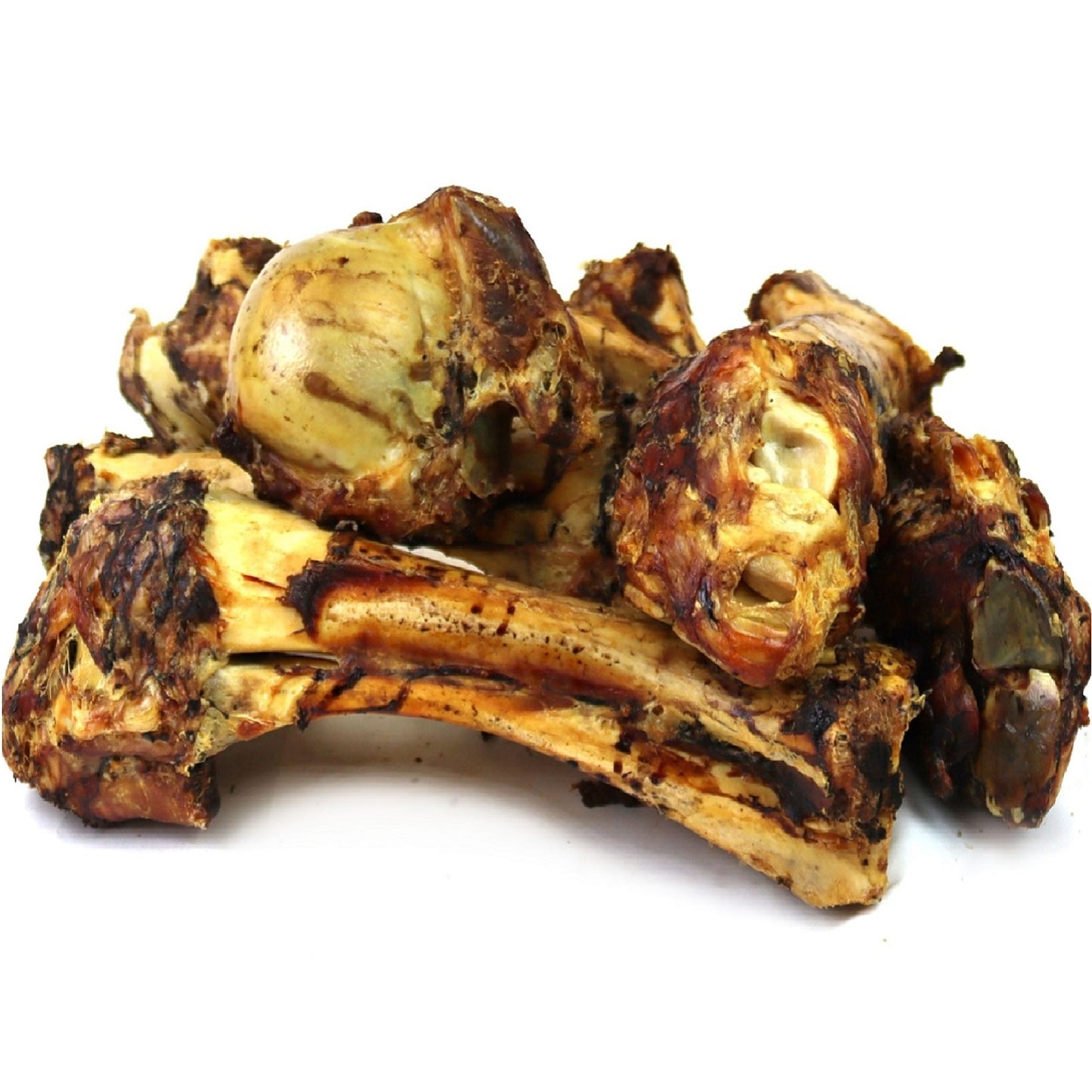 T.Forrest - Jurassic Whole Bone