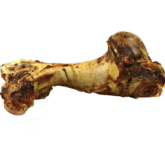 T.Forrest - Jurassic Whole Bone