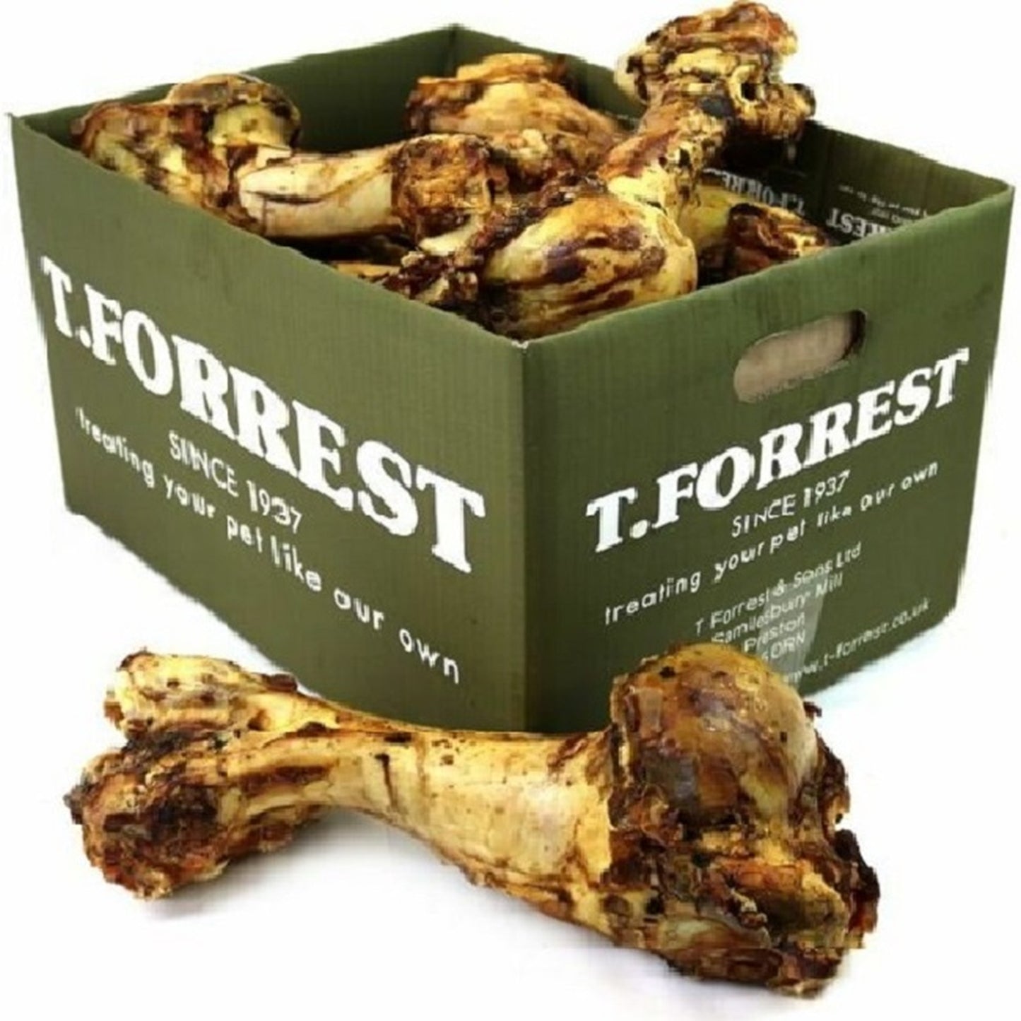 T.Forrest - Jurassic Whole Bone