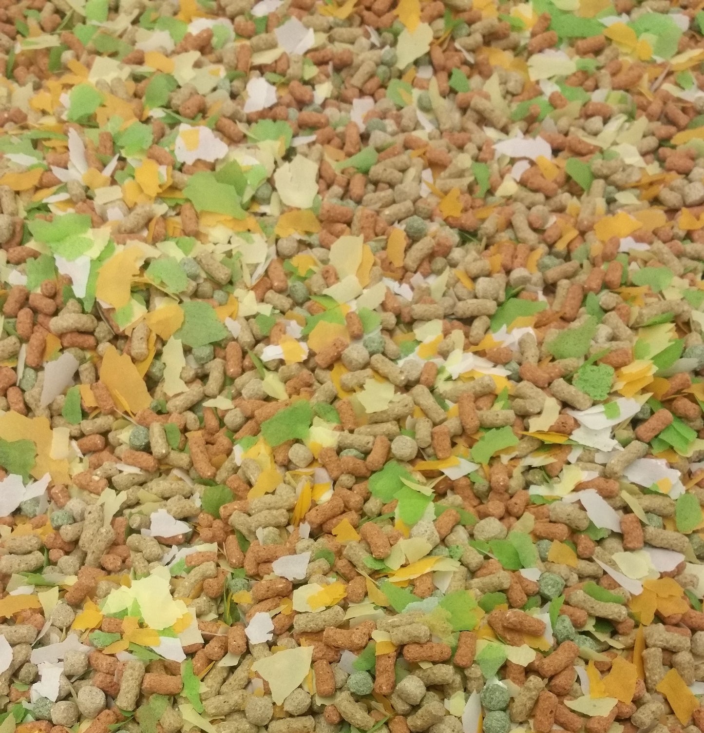 Premium Pond Fish Mix