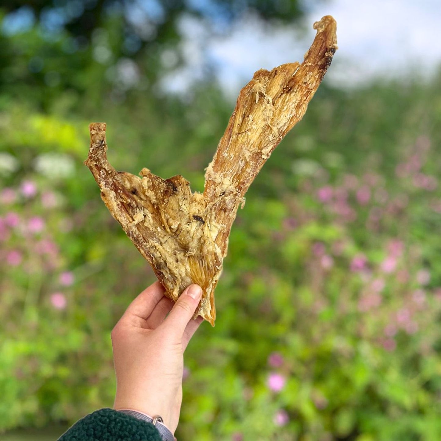 Paddock Farm - Premium Paddywack