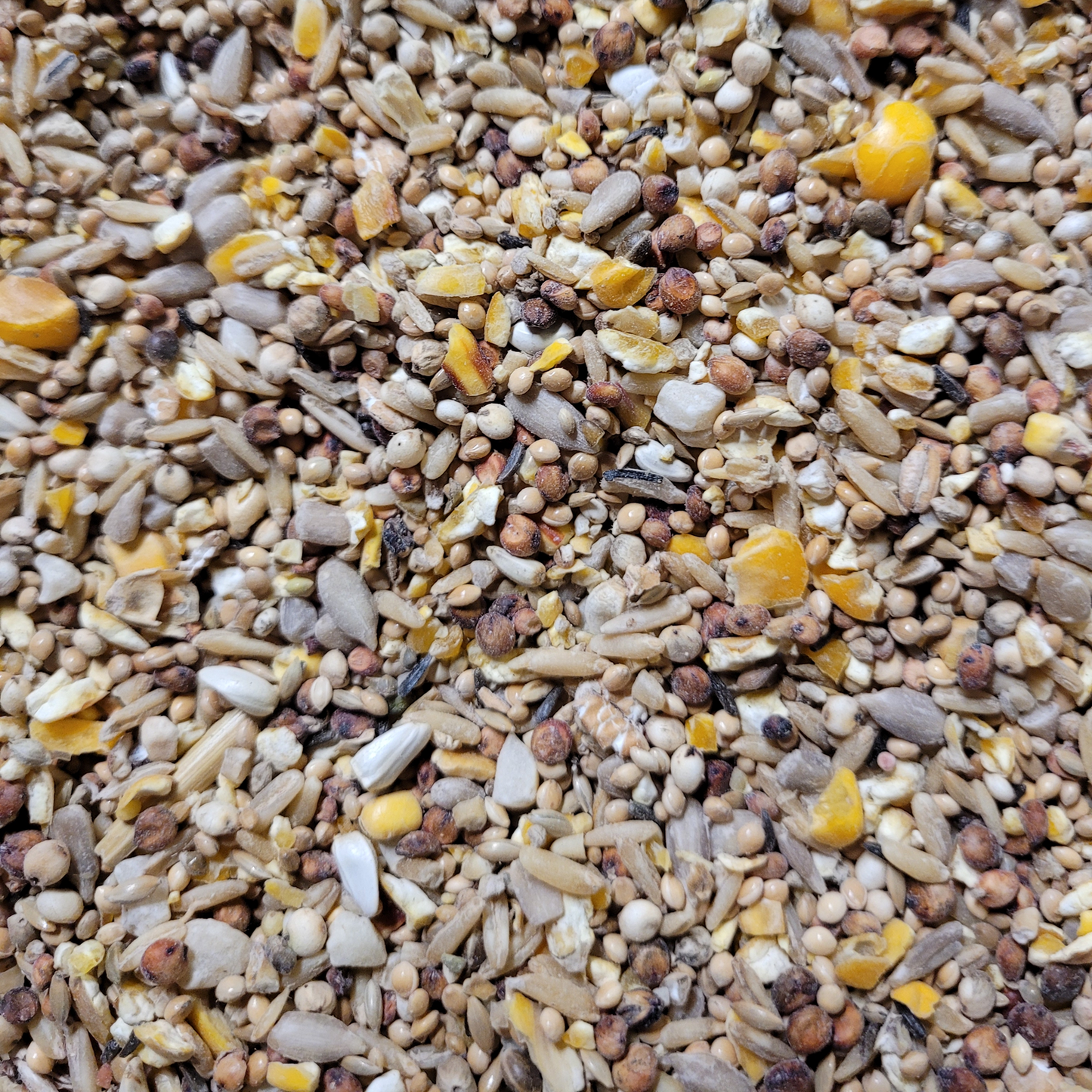 Premium - Wild Bird Seed