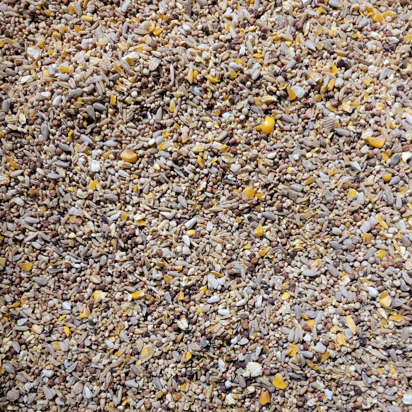 Premium - Wild Bird Seed