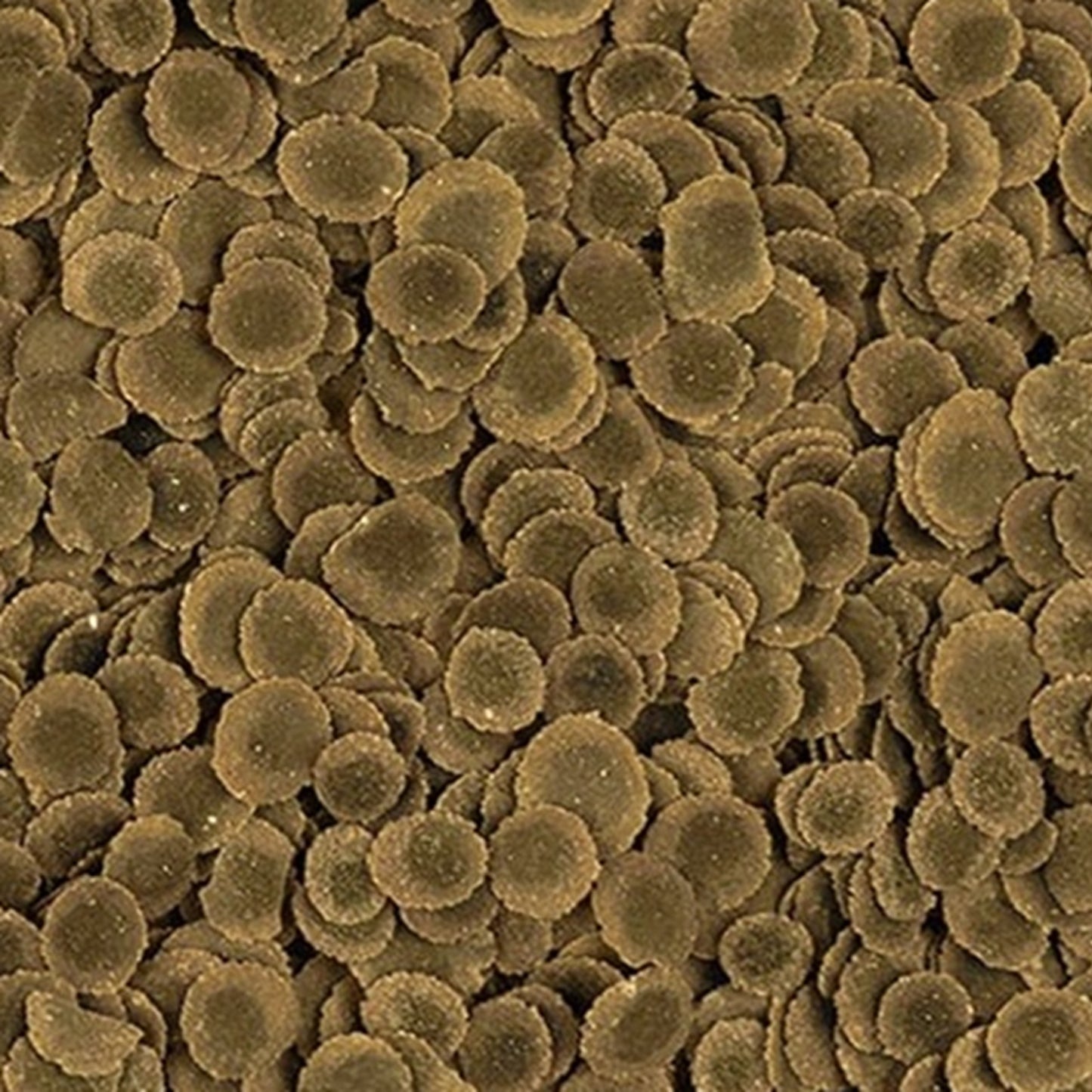 Tetra - Pro Algae (250ml)