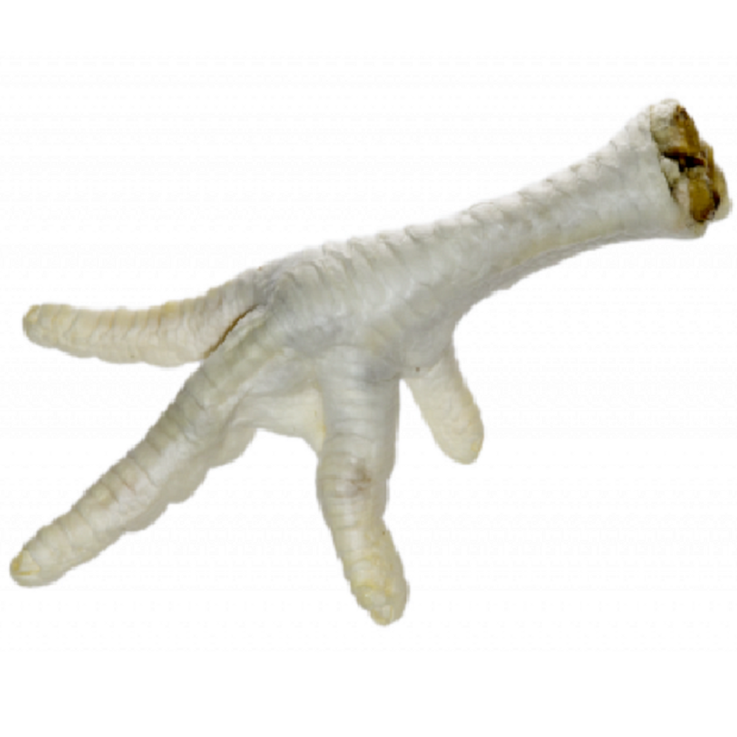NAW! - Puffed Chicken Feet (1kg)
