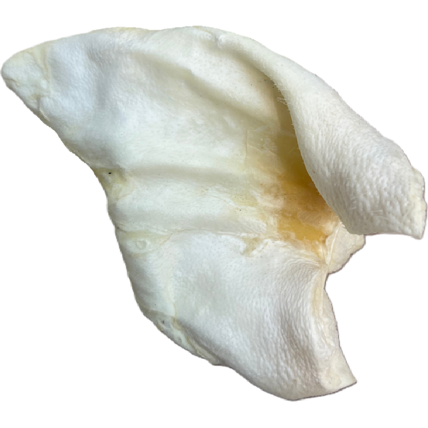 Paddock Farm - White Puffed Pig Ears (50pk)