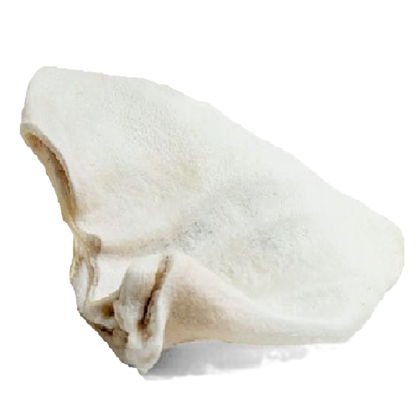 Paddock Farm - White Puffed Pig Ears (50pk)