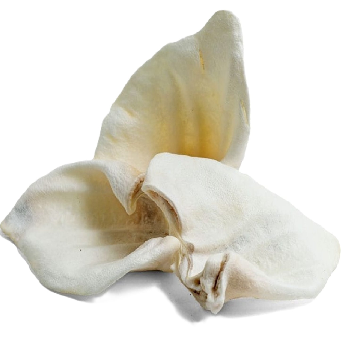 Paddock Farm - White Puffed Pig Ears (50pk)