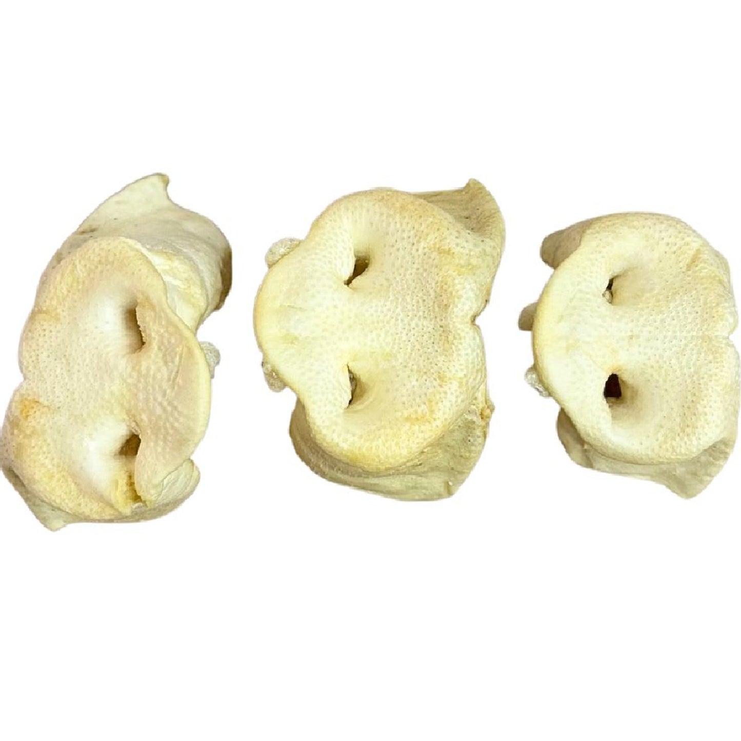 Paddock Farm - Puffed Pig Snouts