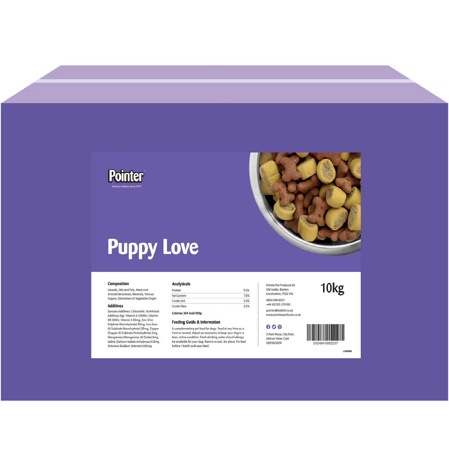 Pointer - Puppy Love
