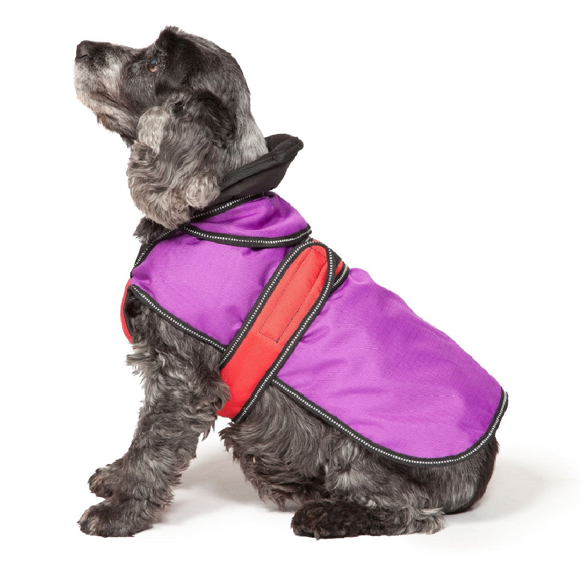 Danish Design - Ultimate 2in1 Dog Coat