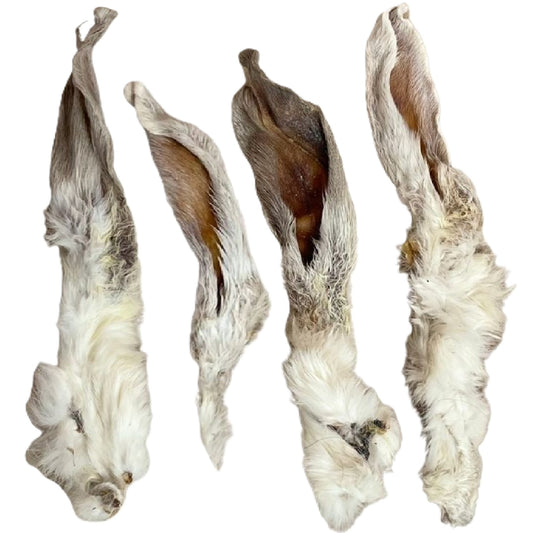 Paddock Farm - Rabbit Ears