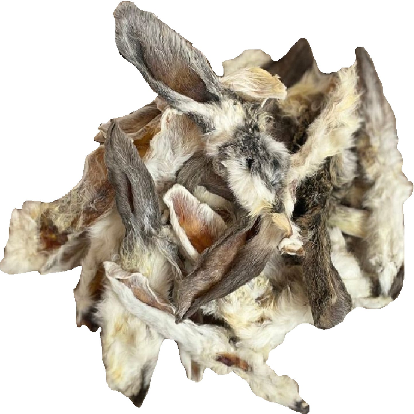 Paddock Farm - Rabbit Ears