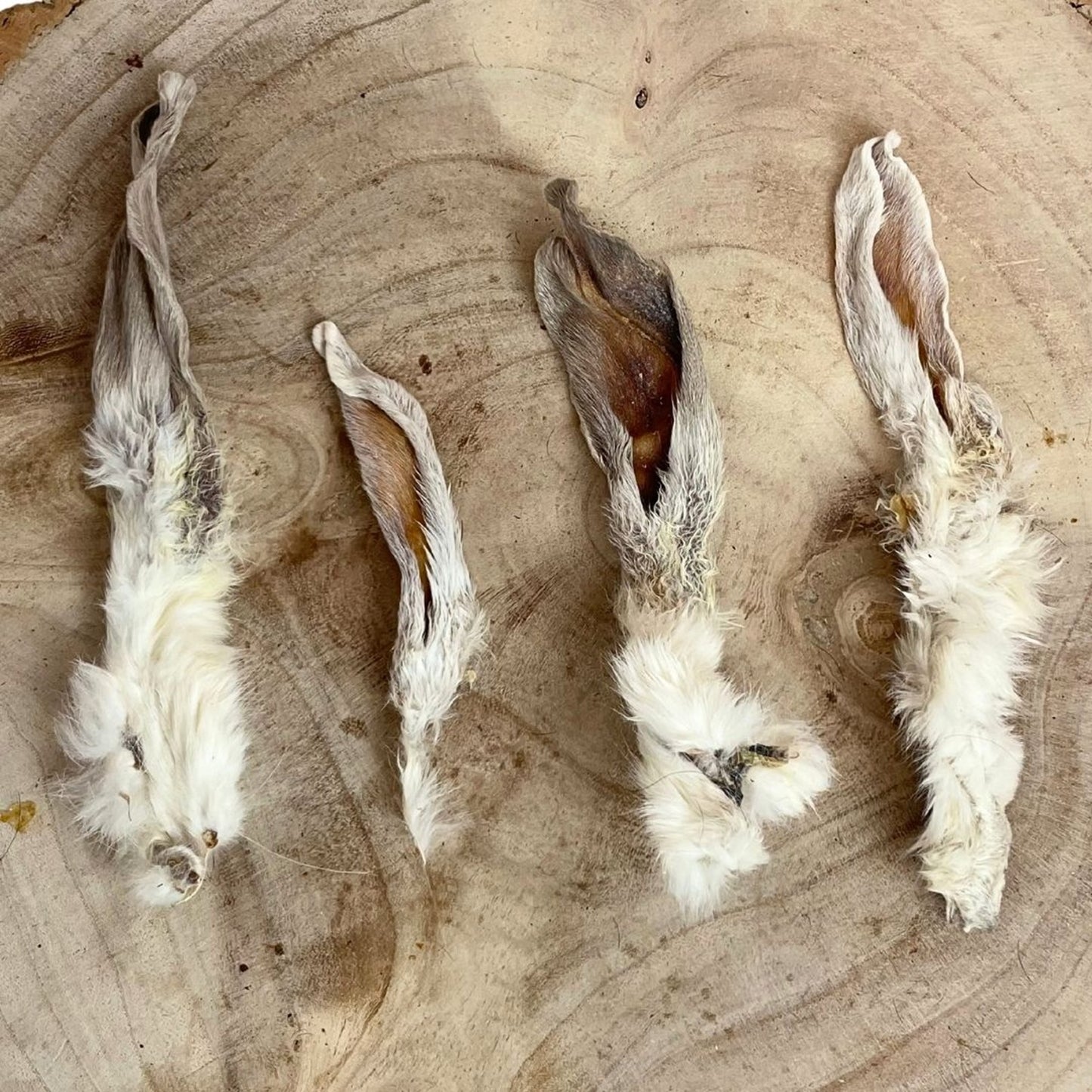 Paddock Farm - Rabbit Ears