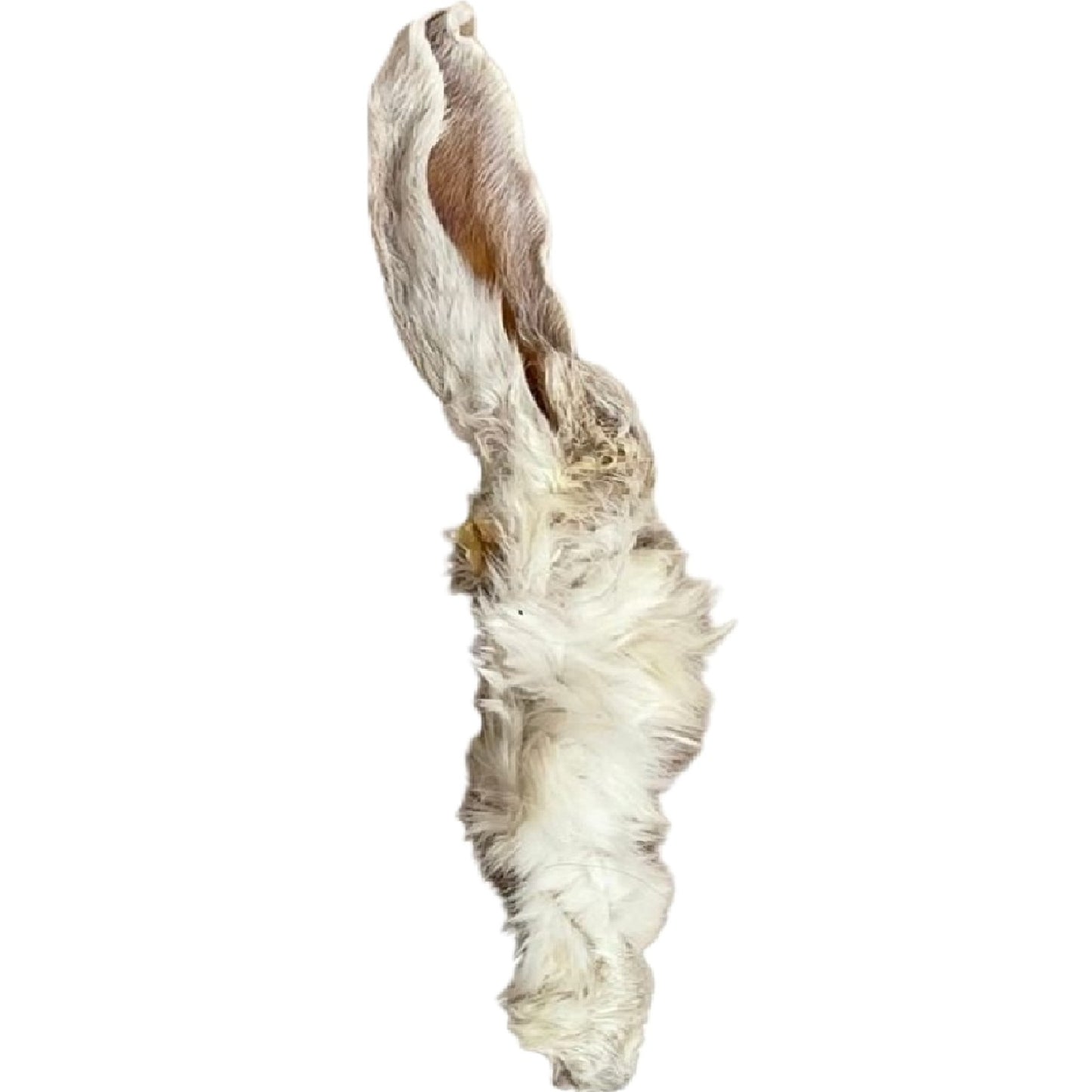 Paddock Farm - Rabbit Ears