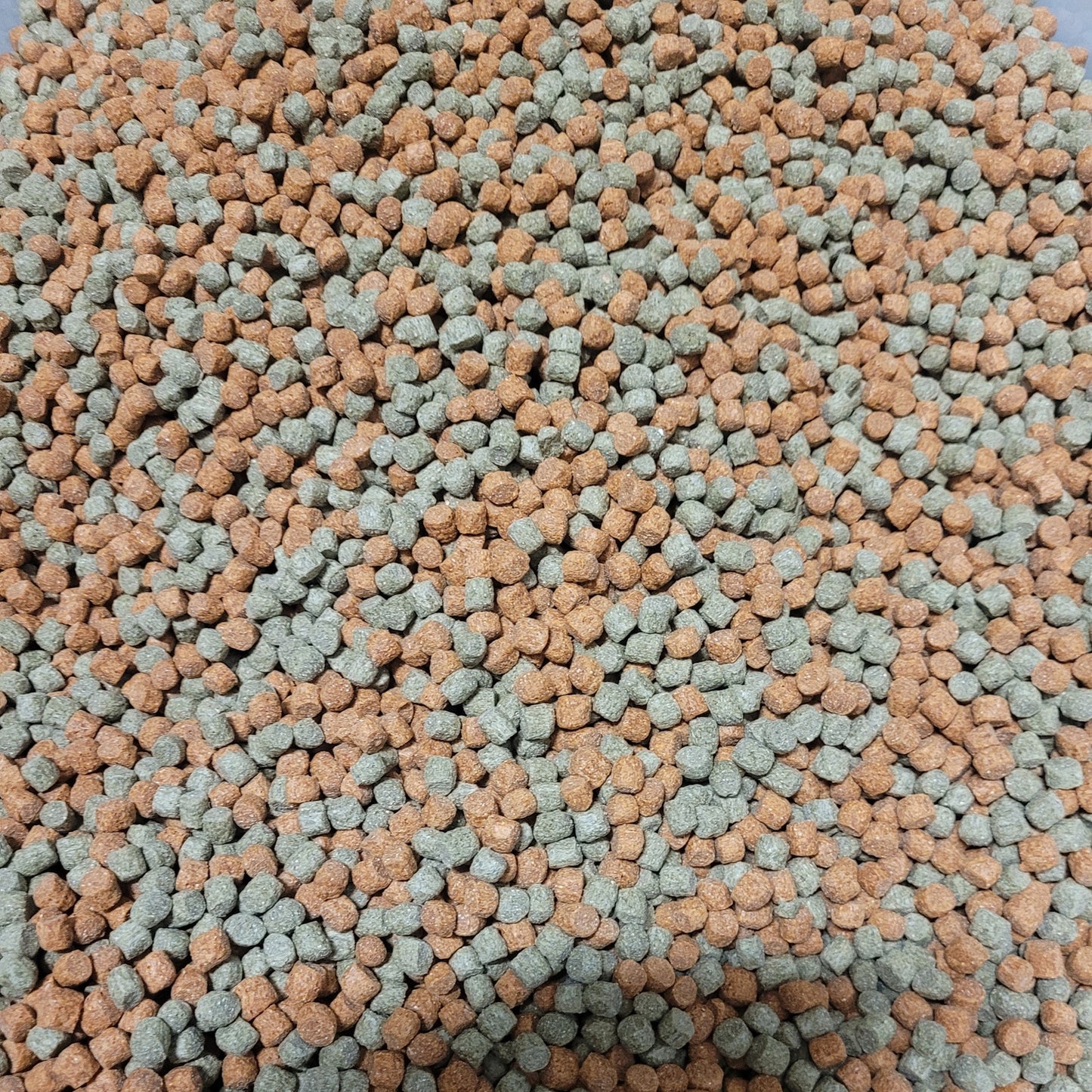 Webbox - Rainbow Pellets