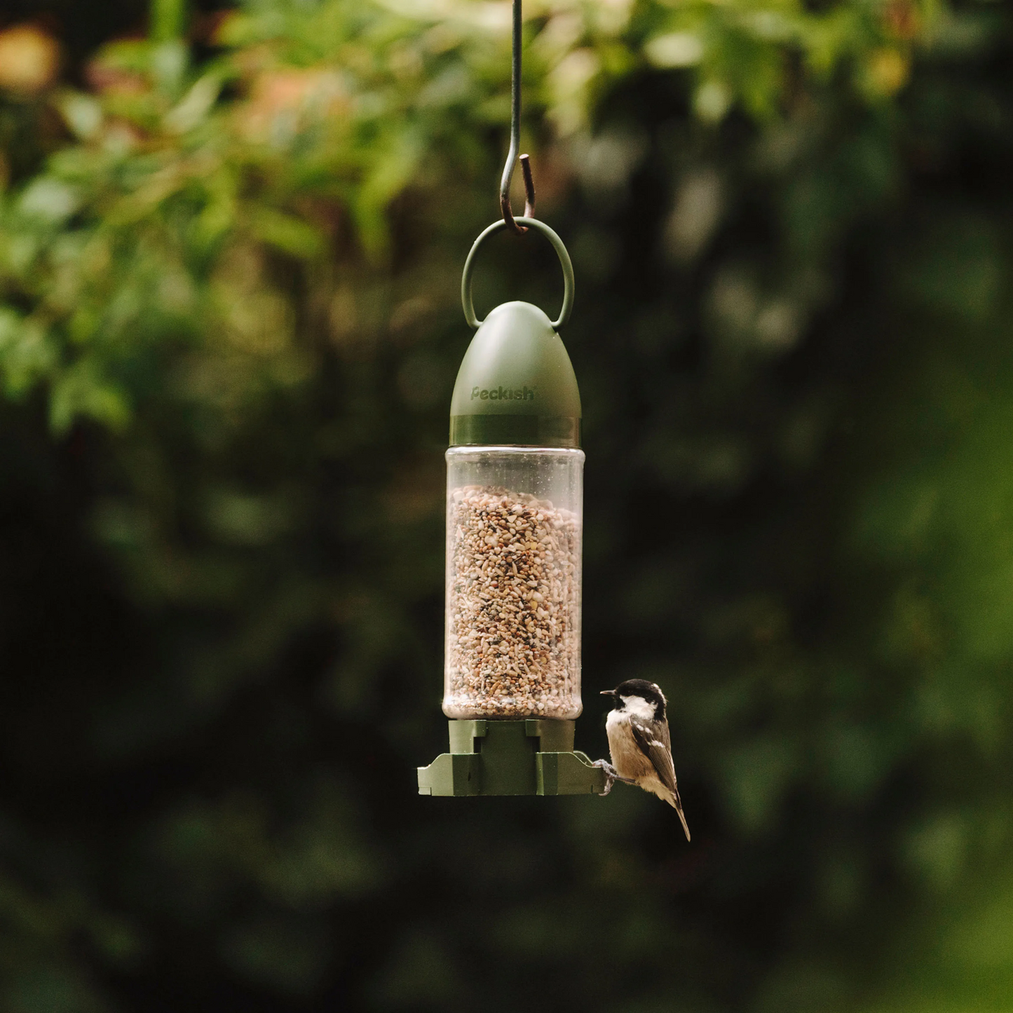 Peckish - Ready To Use Feeders