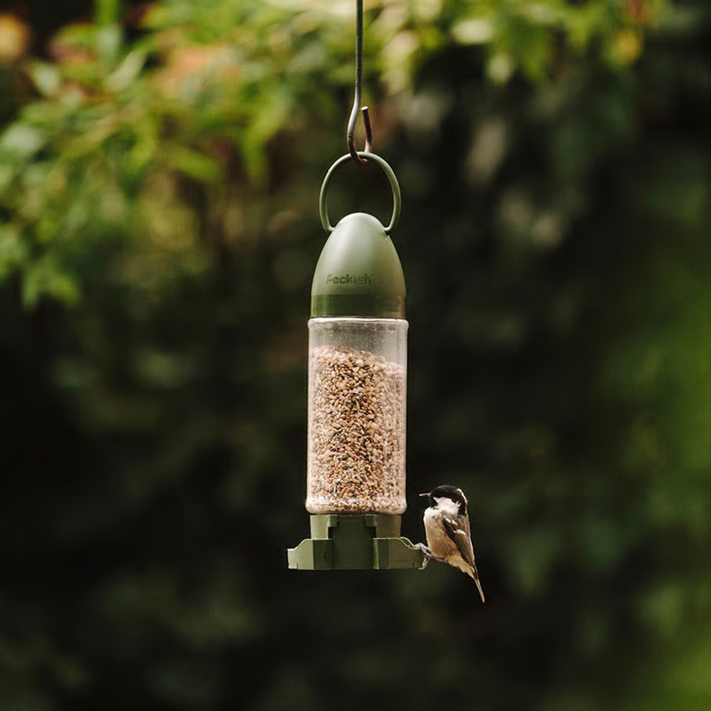 Peckish - Ready To Use Feeders
