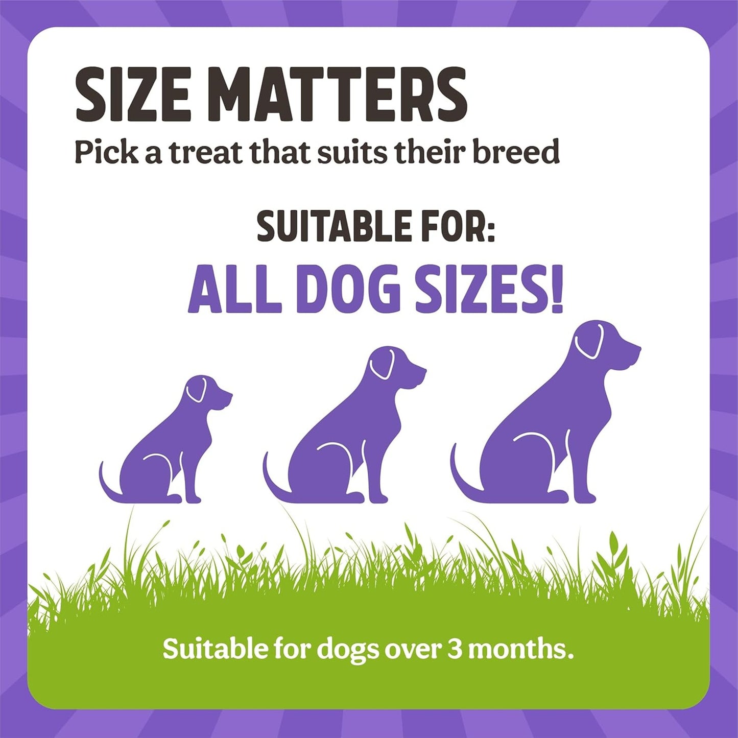 Rosewood - Choc Mini Eggs Dog Easter Treats (150g)