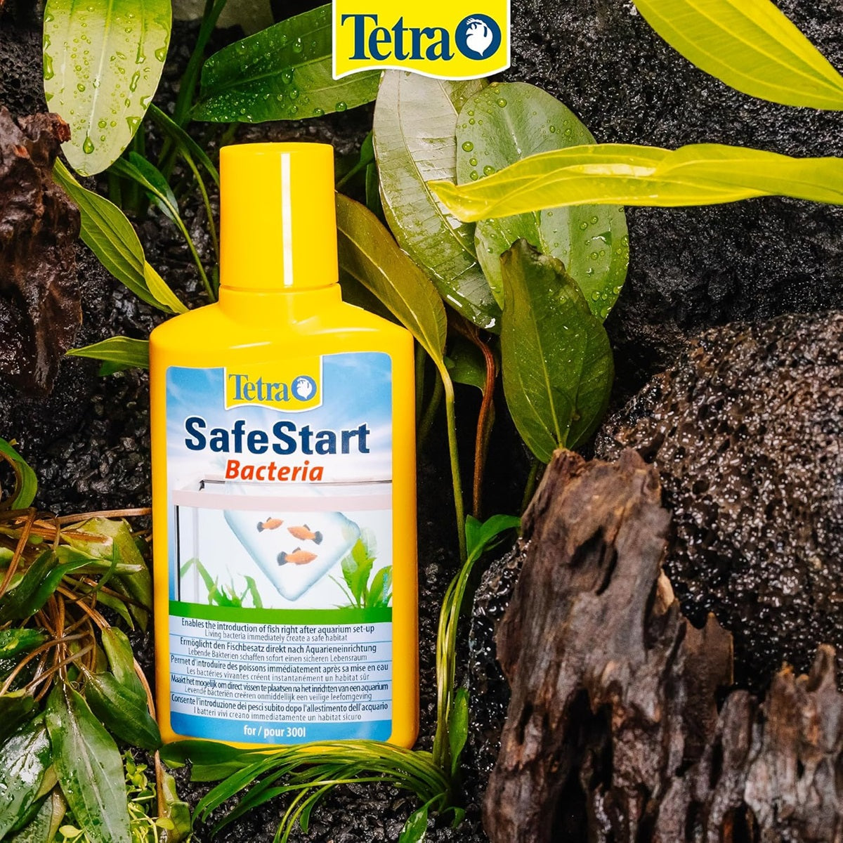 Tetra - SafeStart (50ml)