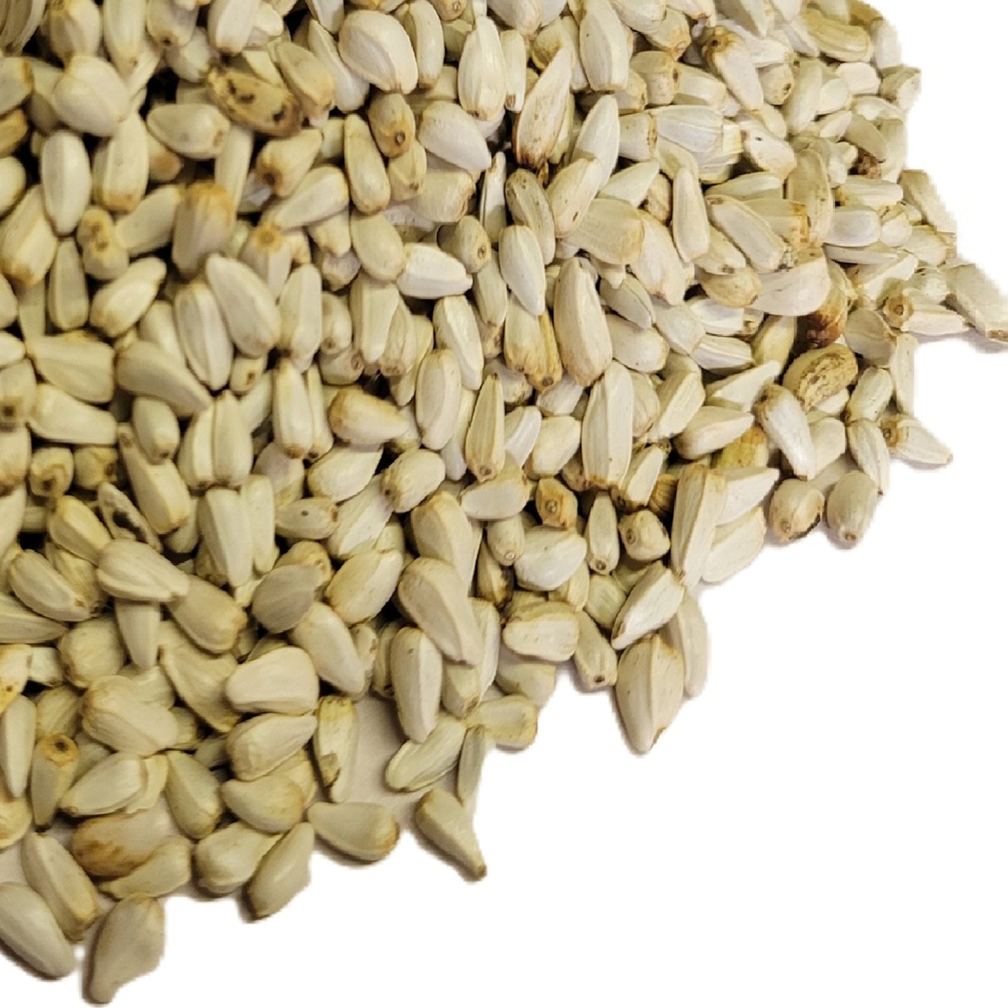 Safflower Seed