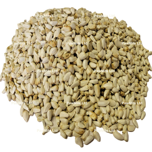 Safflower Seed