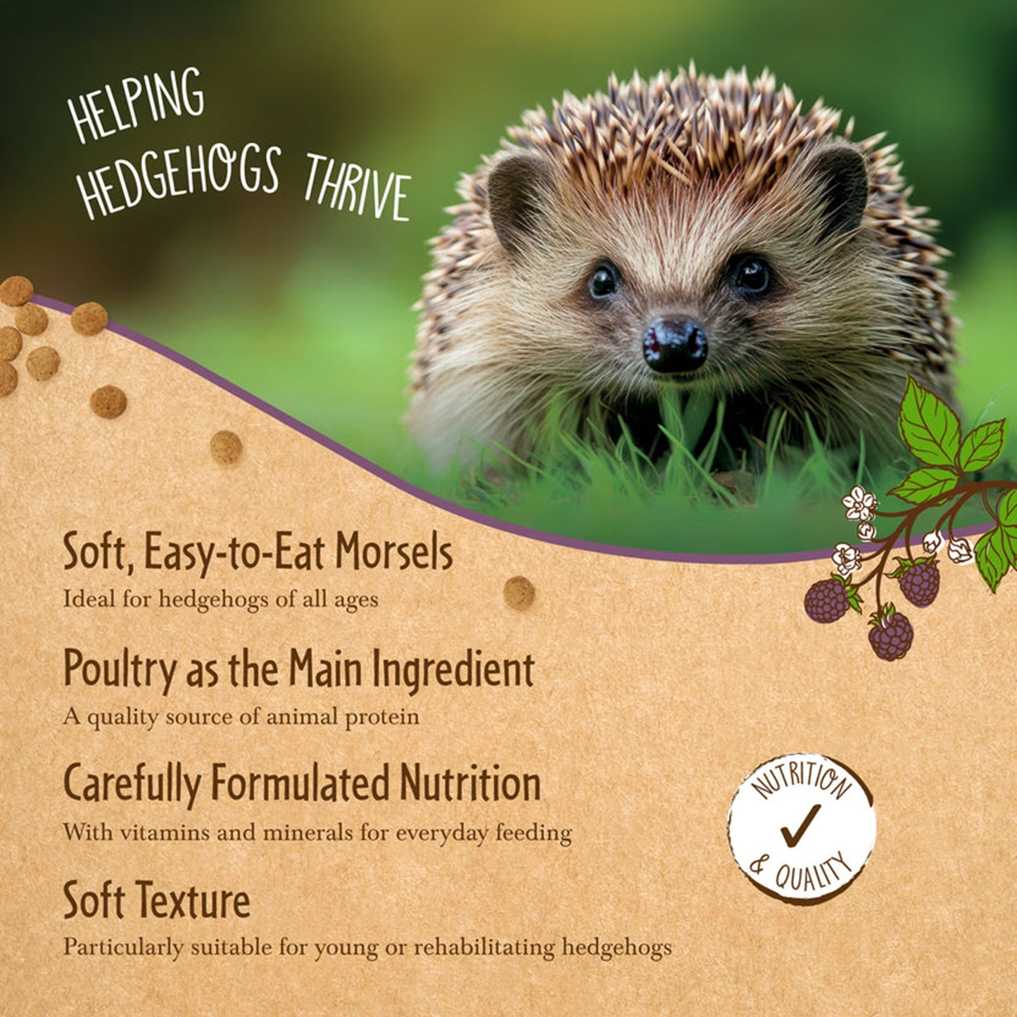 Brambles - Semi-Moist Hedgehog Food