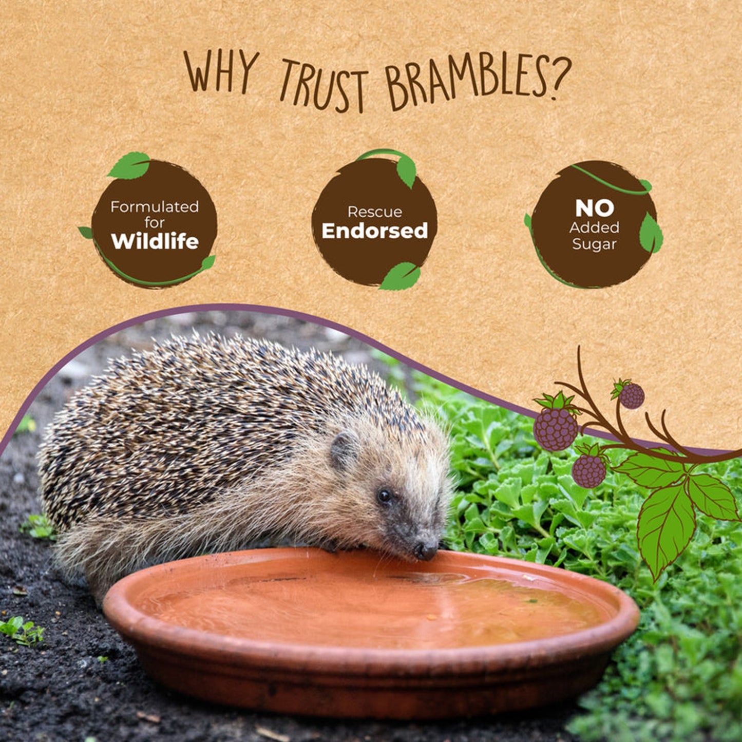 Brambles - Semi-Moist Hedgehog Food