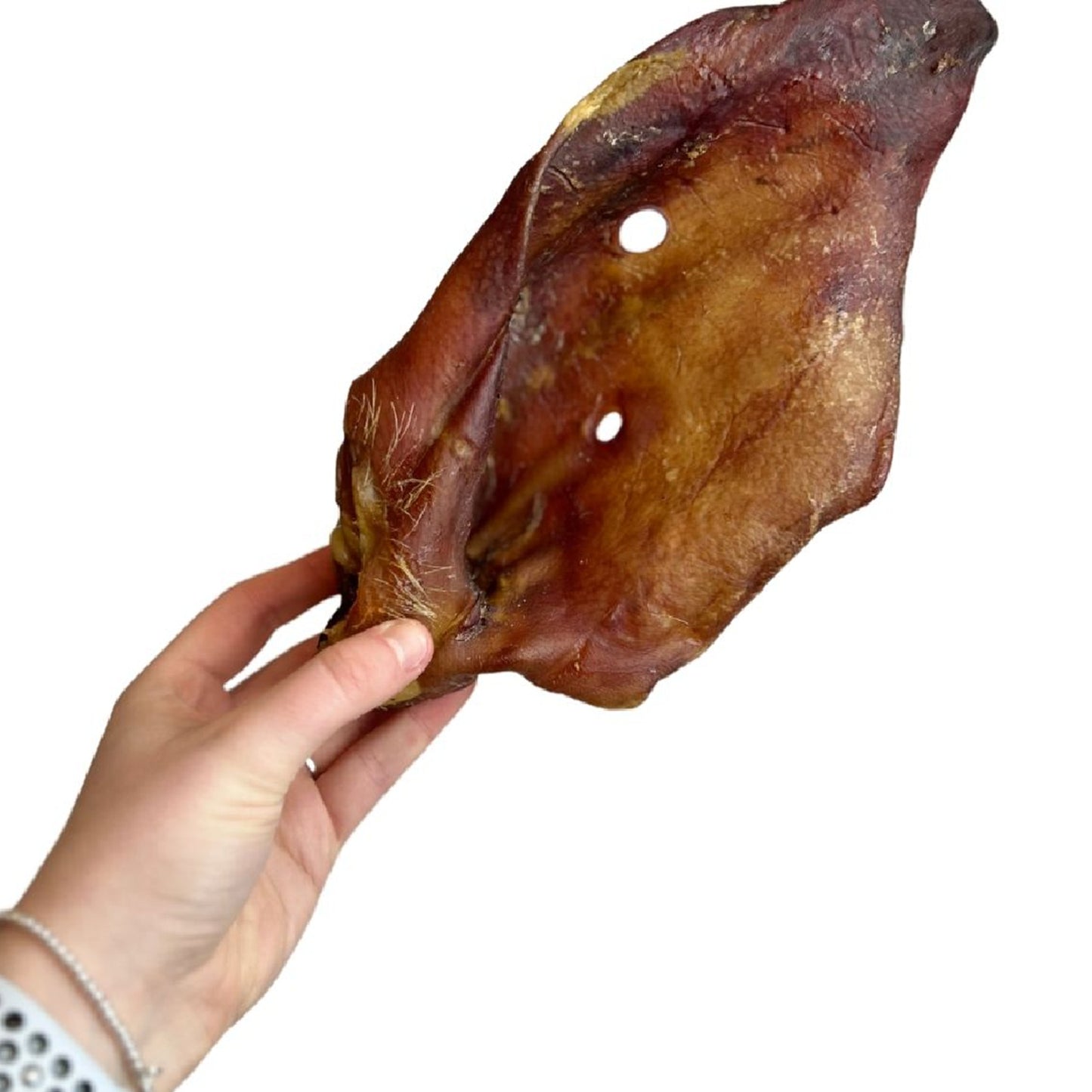 Paddock Farm - XL Pig Sow Ears (25pk)