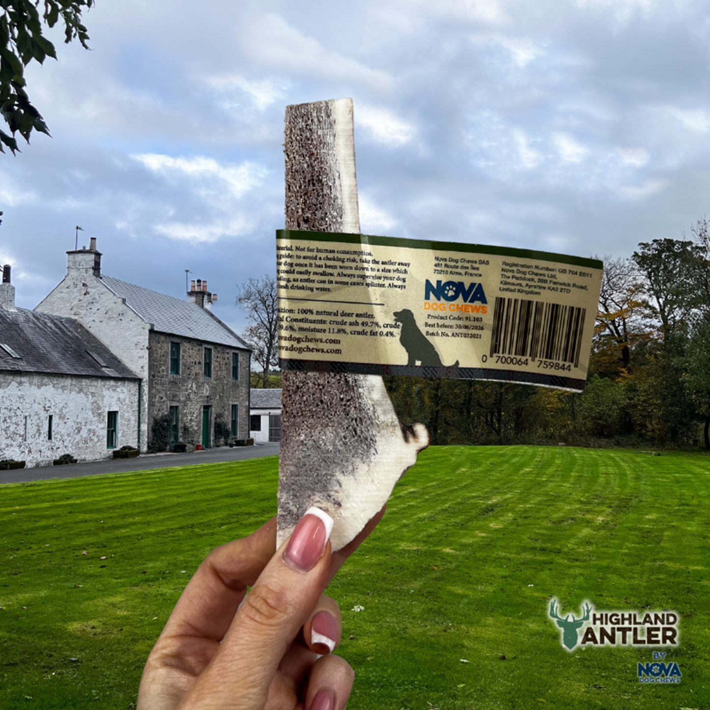 Highland Antler - Split Antlers