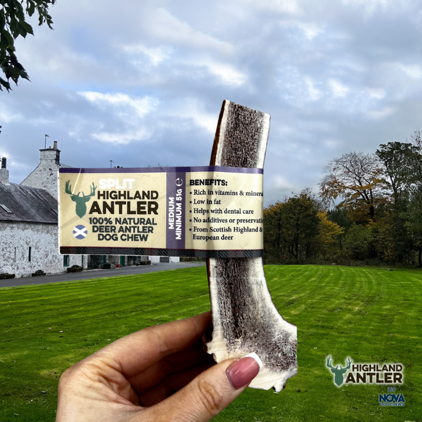Highland Antler - Split Antlers