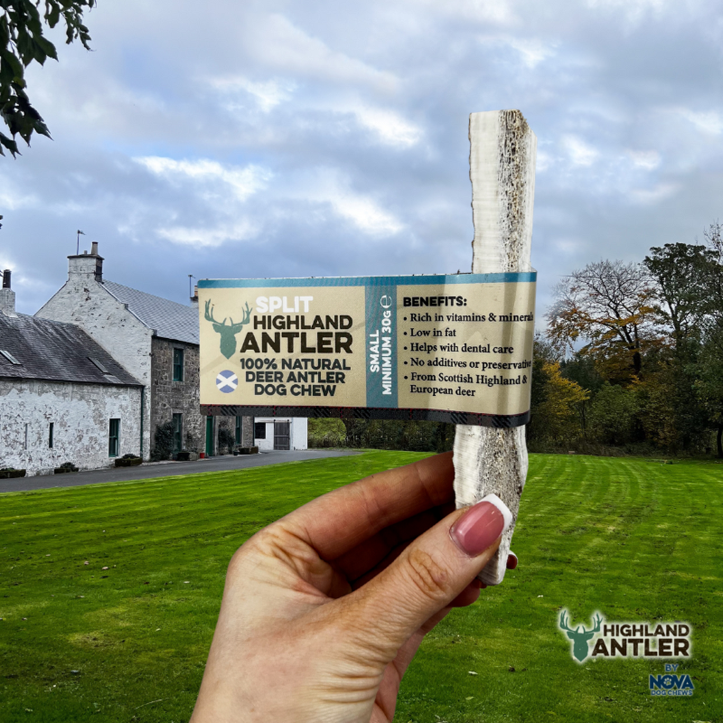 Highland Antler - Split Antlers