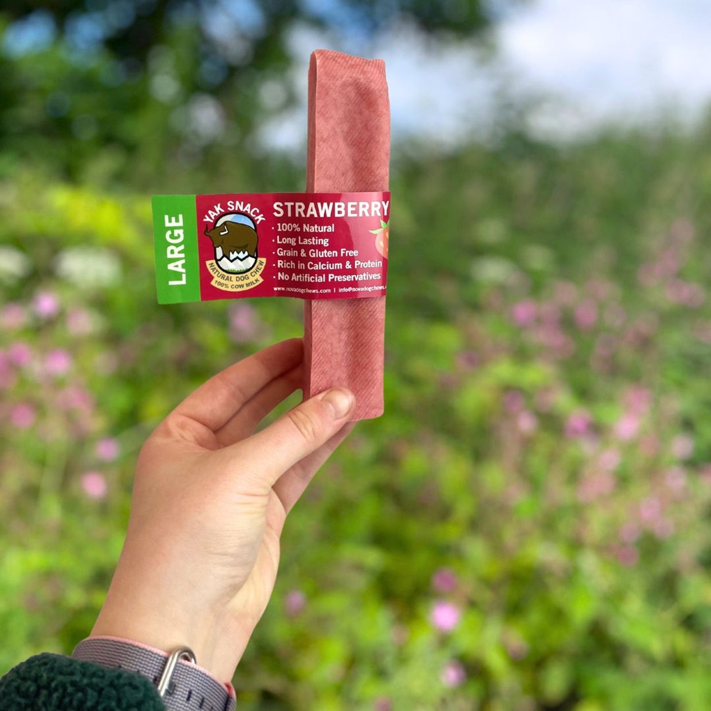 Yak Snack - Cheese Strawberry Dog Chews