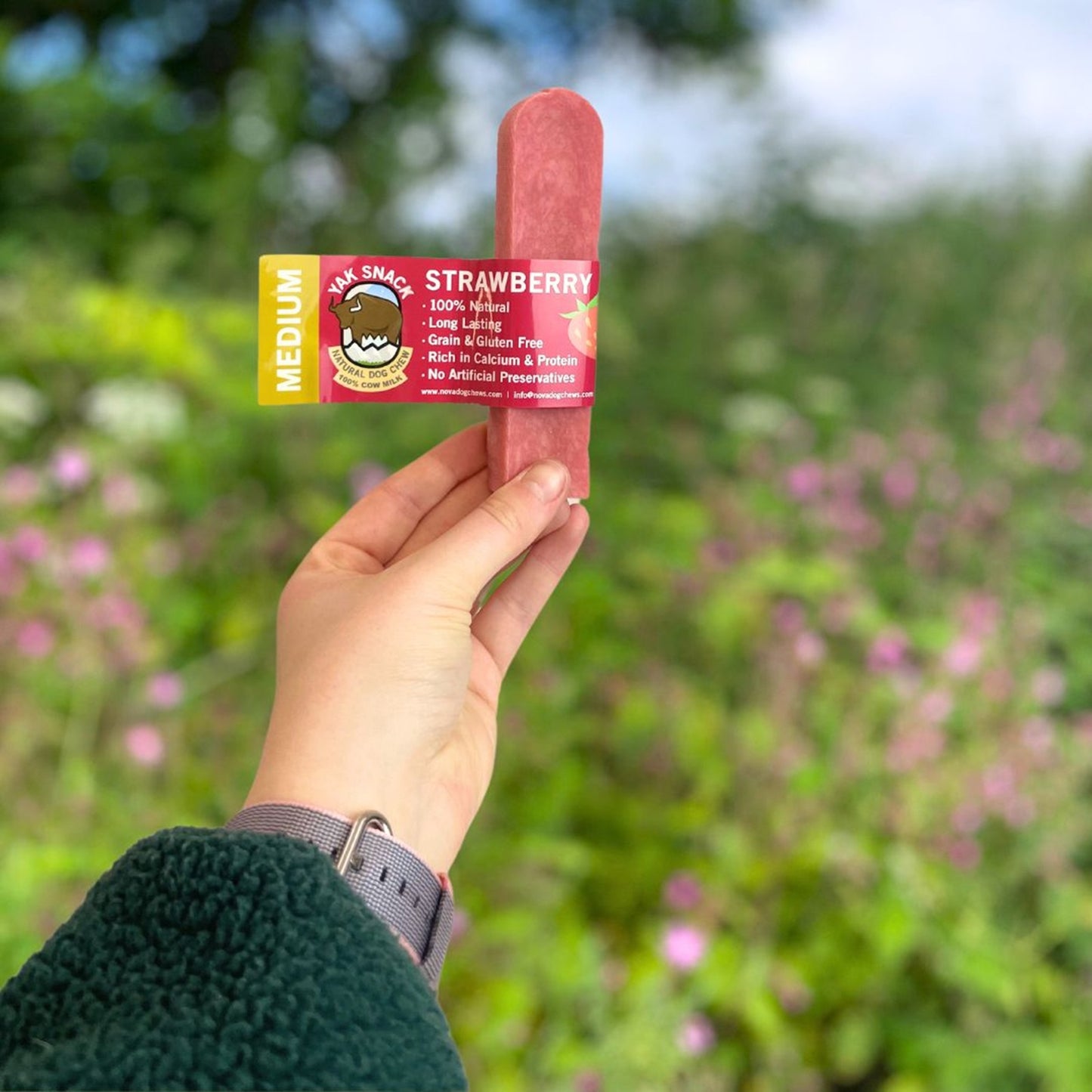 Yak Snack - Cheese Strawberry Dog Chews