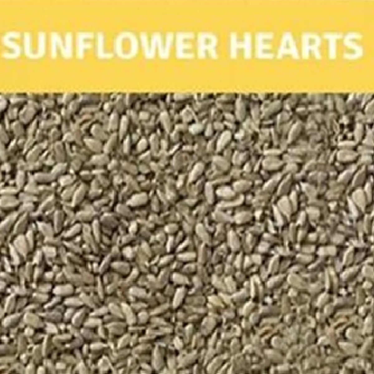 Berry - Sunflower Hearts (12.55kg)