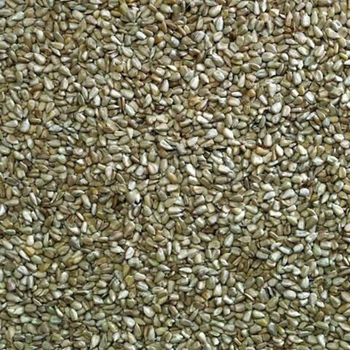 Bucktons - Sunflower Hearts (20kg)