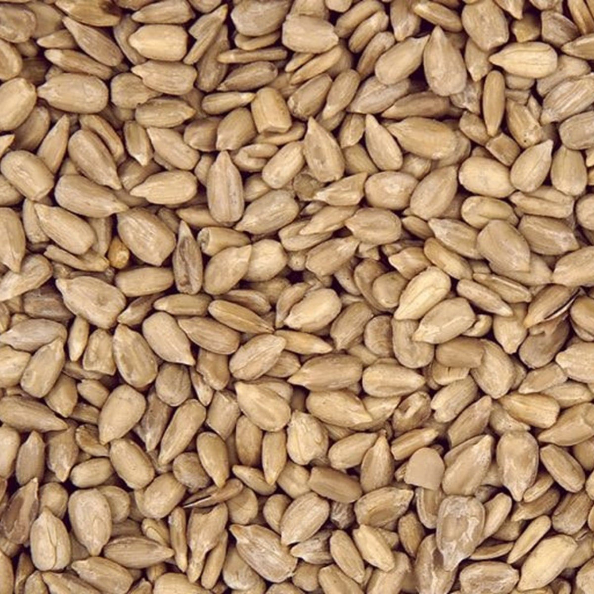 Henry Bell - Sunflower Hearts (2kg)