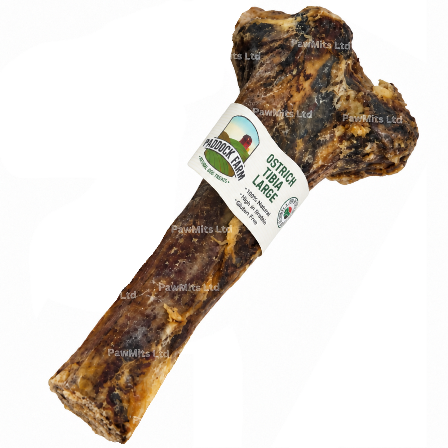 Paddock Farm - Ostrich Large Tibia Bone