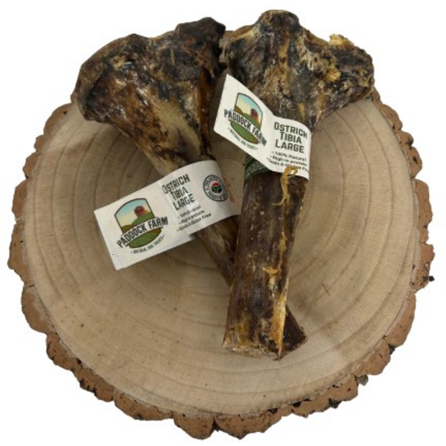 Paddock Farm - Ostrich Large Tibia Bone
