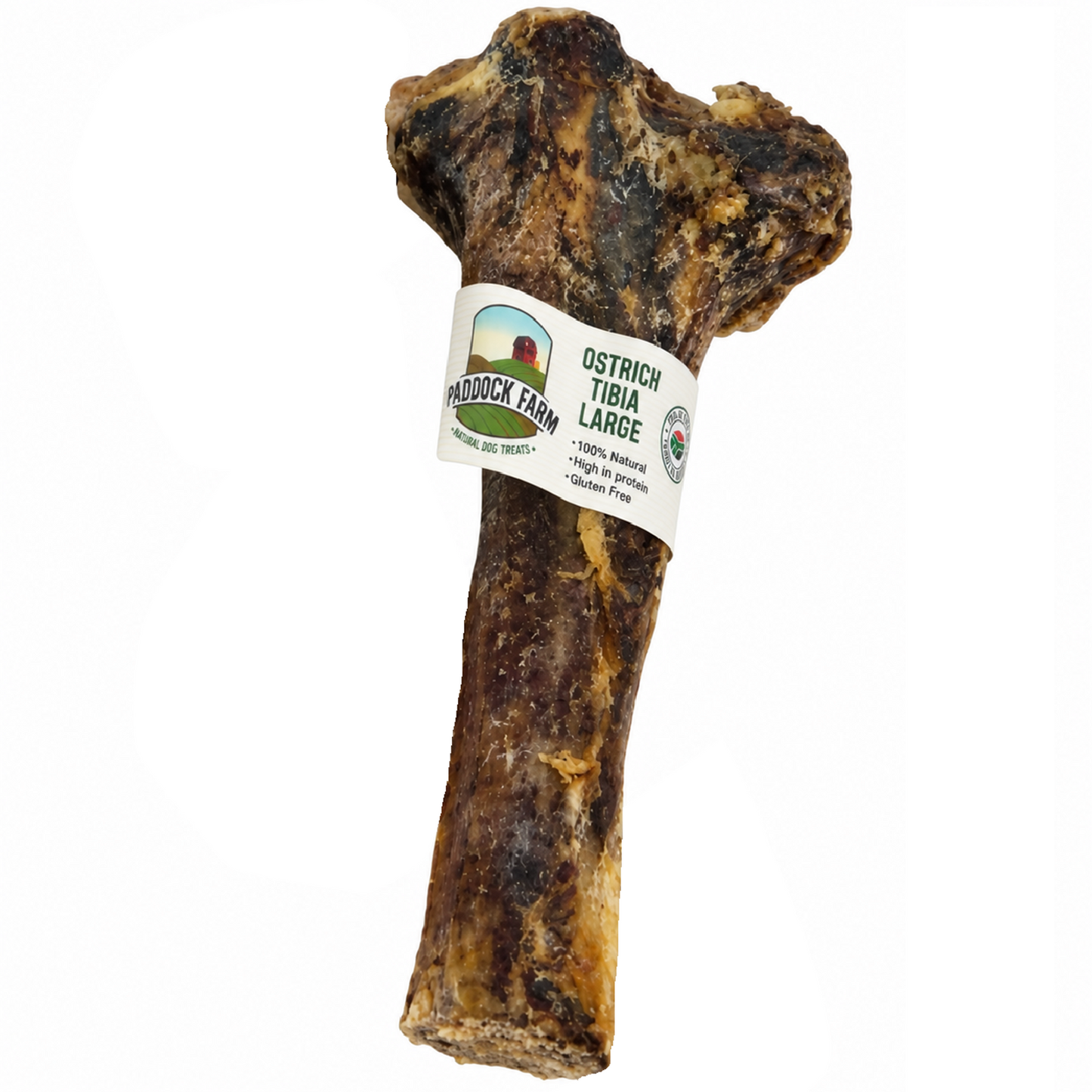 Paddock Farm - Ostrich Large Tibia Bone