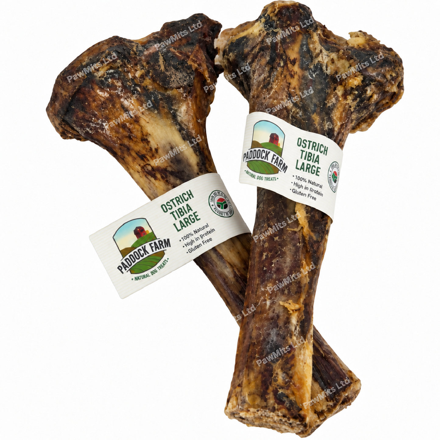 Paddock Farm - Ostrich Large Tibia Bone