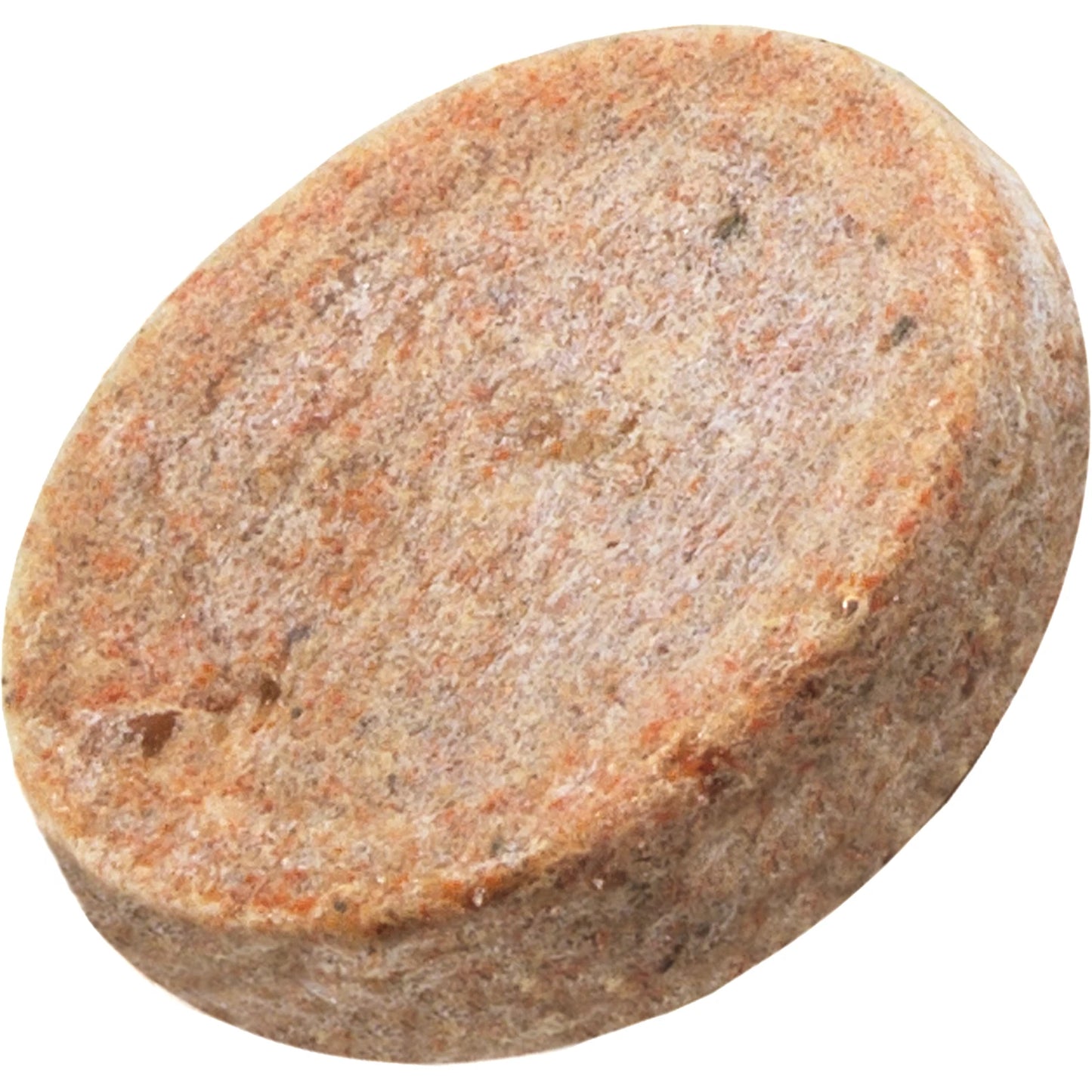 Tetra - Ornamental Fish Holiday (14 days)