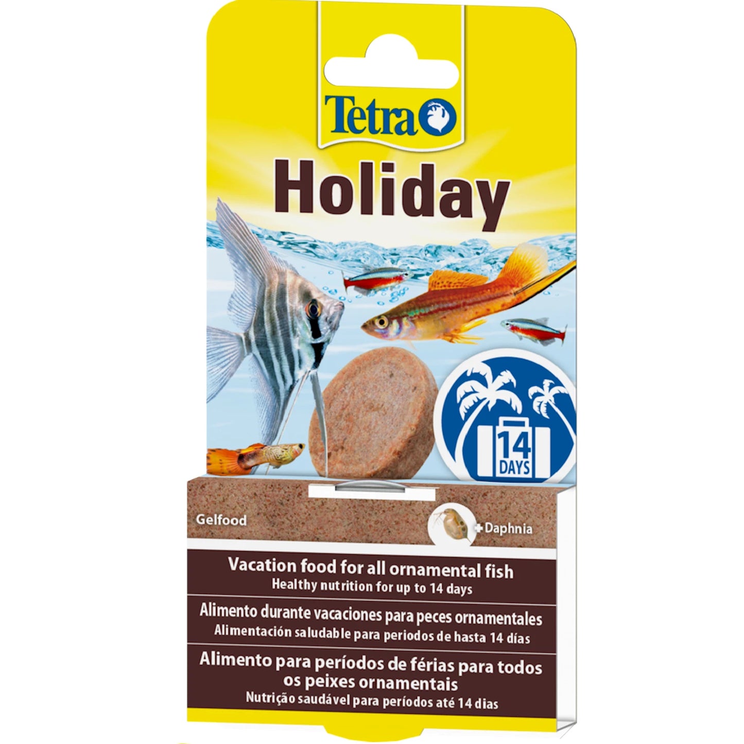 Tetra - Ornamental Fish Holiday (14 days)