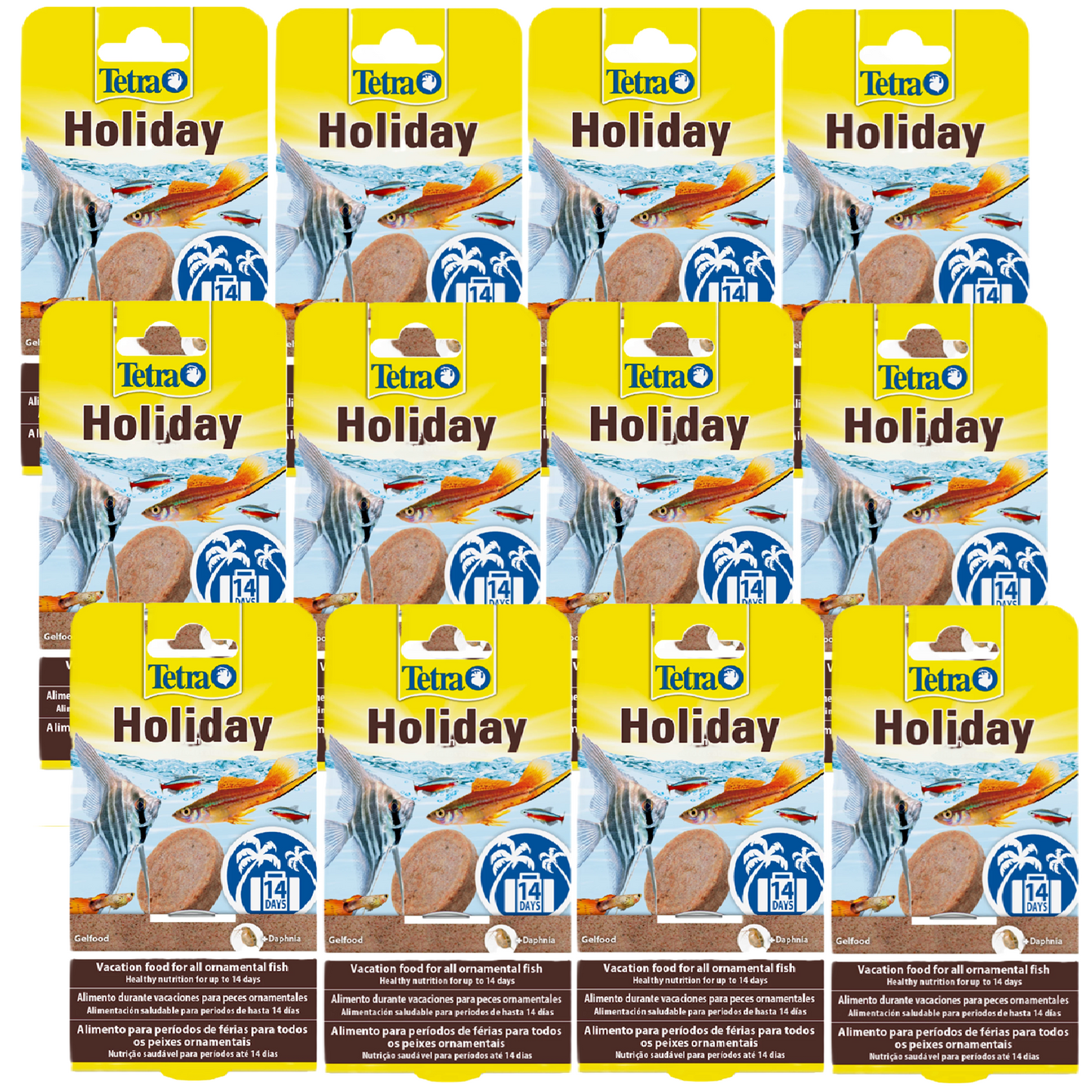 Tetra - Ornamental Fish Holiday (14 days)