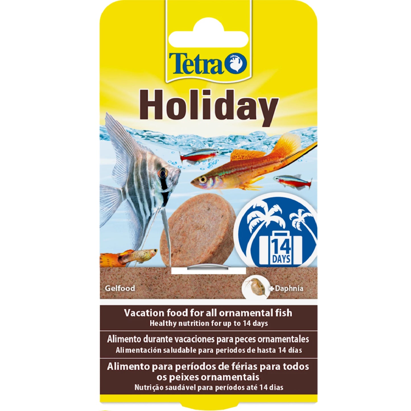 Tetra - Ornamental Fish Holiday (14 days)