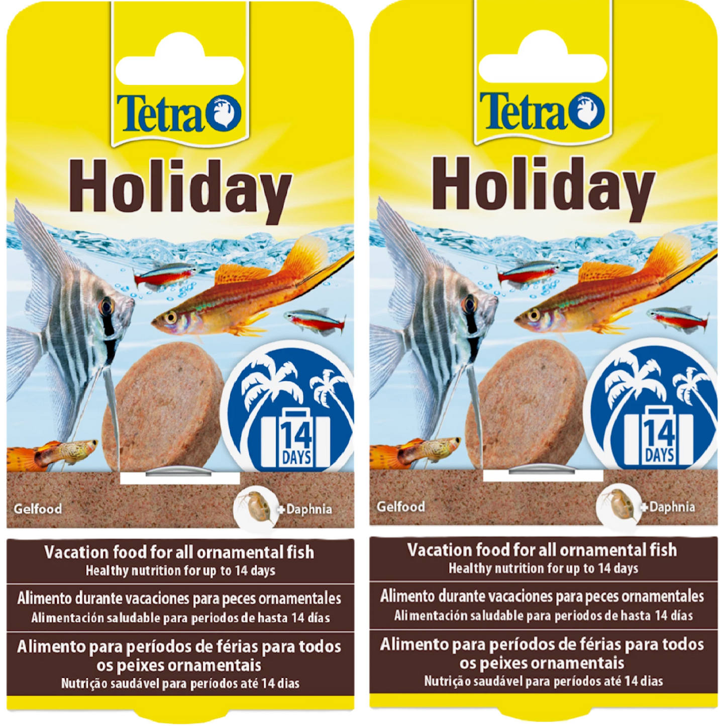 Tetra - Ornamental Fish Holiday (14 days)